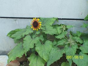 �˿˱����ַ���ѧ��Ƶ������ѷ�仧�Ϻ���ó�� ��������ֱ���й�...